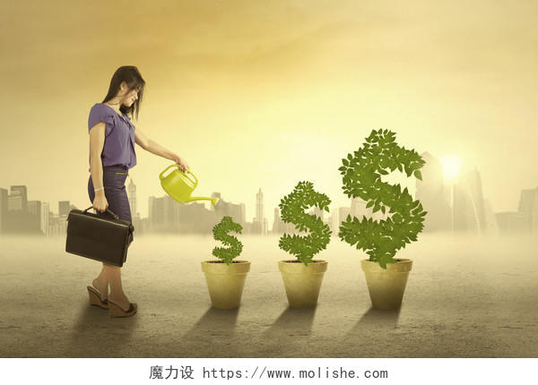 女人在浇灌金钱造型的植物压力收入提升